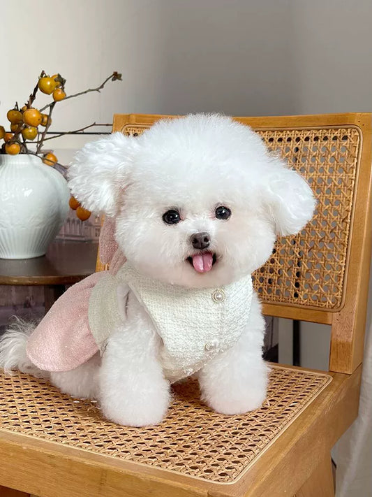 Pet Clothes Fall and Winter New Arrival Fleece-lined Thickened Classic Style Princess Dress Teddy Bichon Dog Cat Traction Buckle Outwear