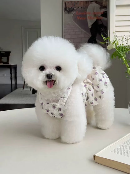 Pet Clothes Spring/Summer New Arrival Floral Slip Dress Teddy Bichon Dog Cat out Traction Buckle Thin Clothes