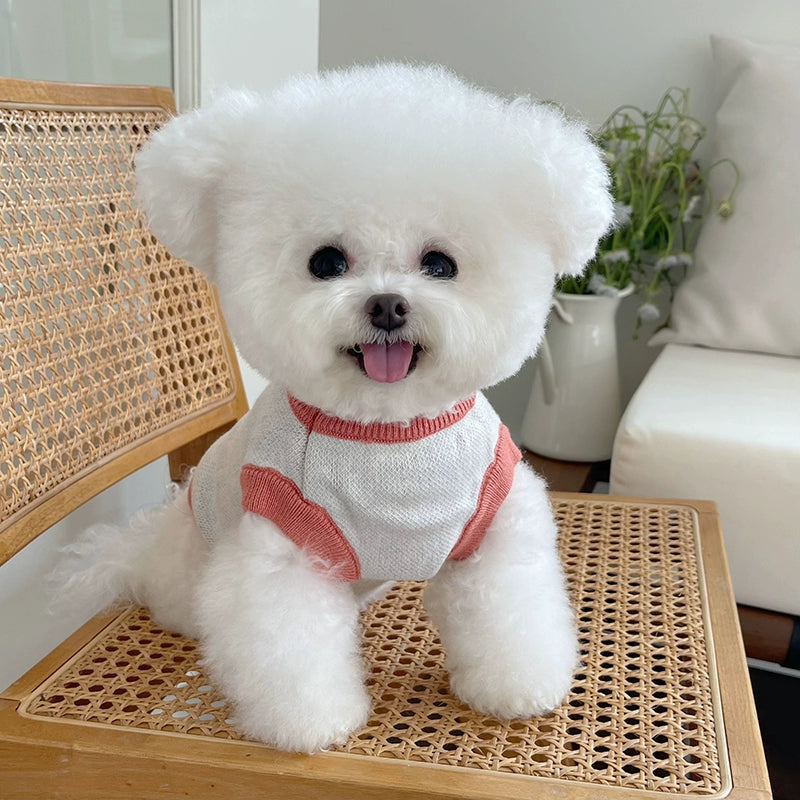 Pet Clothes Fall and Winter New Arrival Bear Thick Warm Sweater Teddy Bichon Dog Cat Elastic Knitting Vest