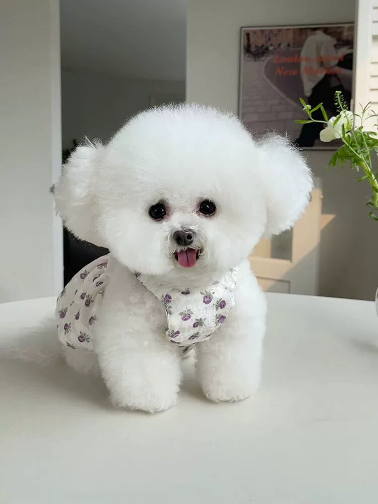 Pet Clothes Spring/Summer New Arrival Floral Slip Dress Teddy Bichon Dog Cat out Traction Buckle Thin Clothes