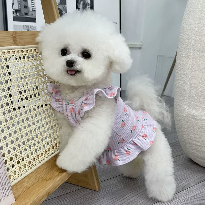 Pet Clothes Spring and Summer Thin Breathable Flounced Sleeve Vest Teddy Bichon Puppy Clothes