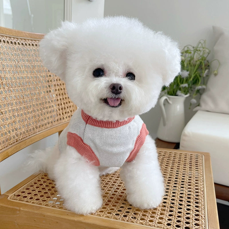 Pet Clothes Fall and Winter New Arrival Bear Thick Warm Sweater Teddy Bichon Dog Cat Elastic Knitting Vest