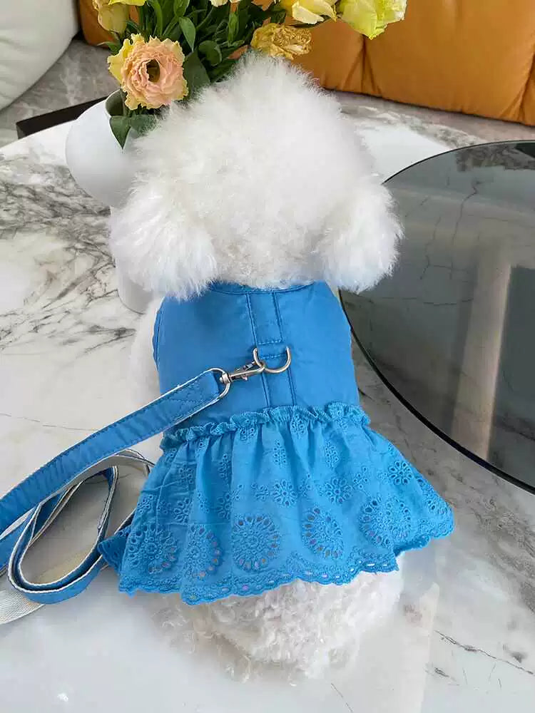 Dog Summer Hook and Loop Fasteners Korean Skirt Traction Buckle